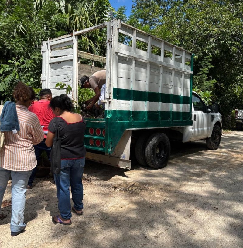 Renacimiento Verde avanza en el oriente yucateco