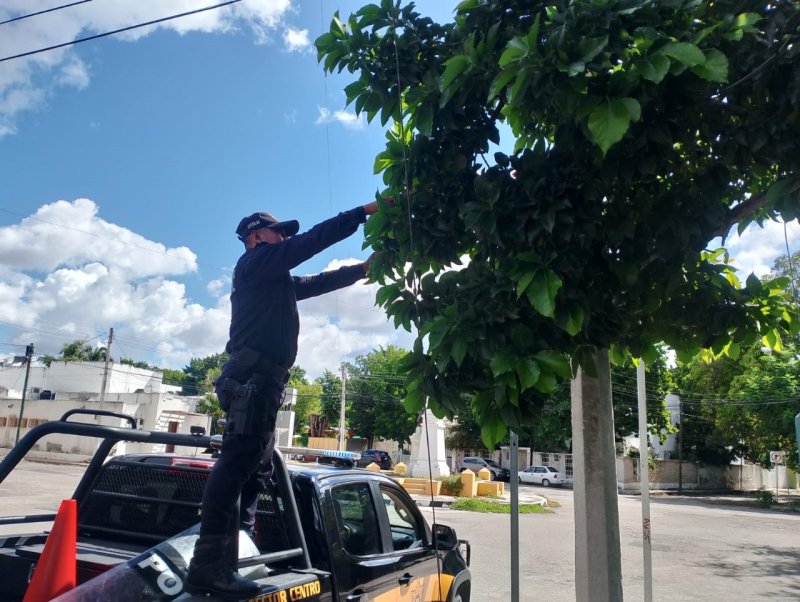 SSP refuerza seguridad vial con limpieza y liberación de señalética
