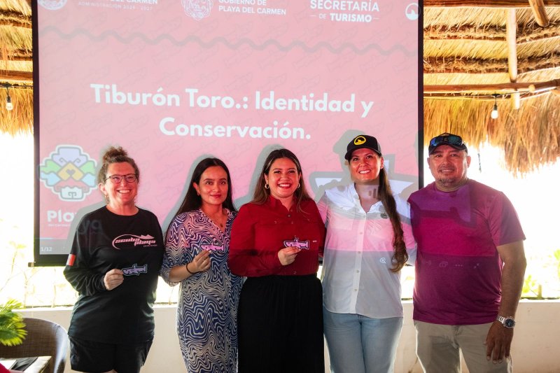 Tiburón toro, emblema de identidad, conservación y turismo sostenible en Playa del Carmen